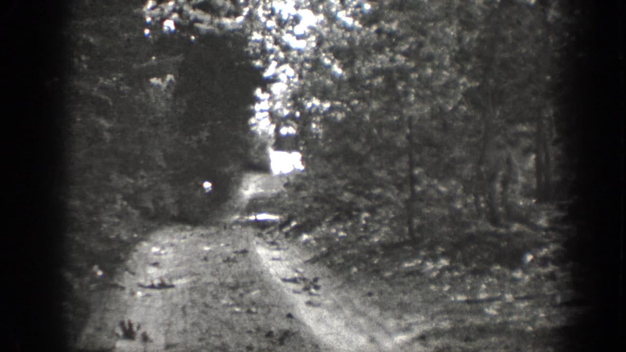 Black-and-white 8mm view of a rural Chelan-area forest road, with soft focus and a bright opening ahead.