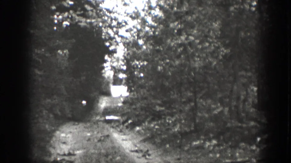 Chelan, Washington 1939 frame of a rough wooded road, seen from a handheld home-movie camera.