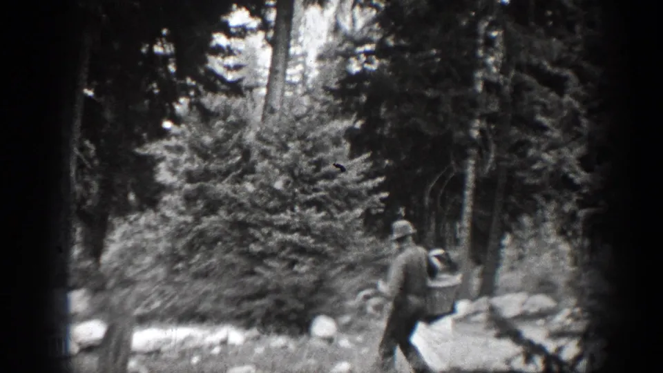 A man walks through a dense Chelan, Washington forest with tall trees, rocks, and evergreen growth in the background.