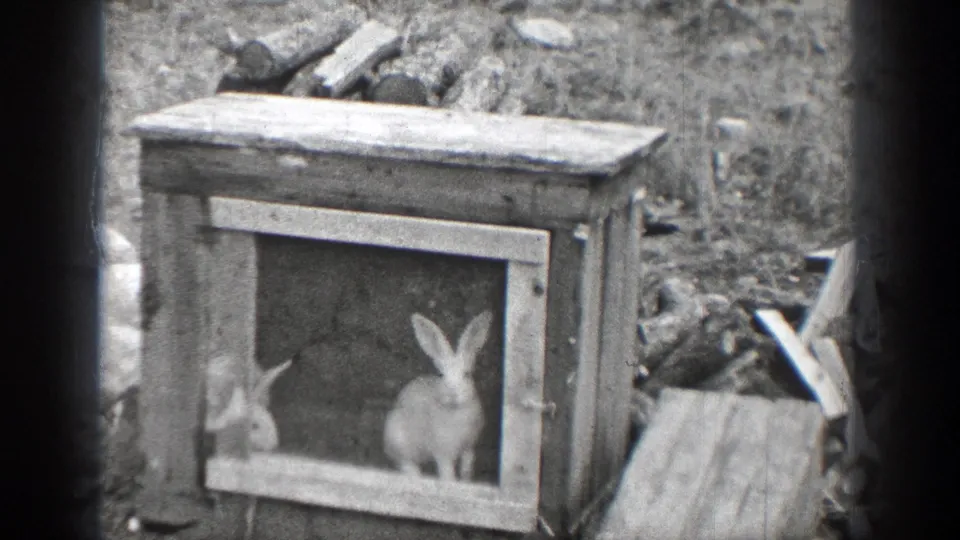 A wooden rabbit hutch appears in the 1939 Chelan home movie, with white rabbits visible behind wire mesh.