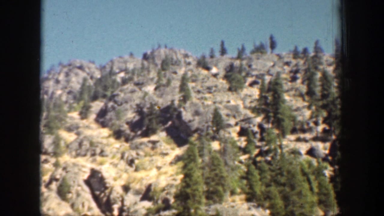 Rocky evergreen-covered slope beneath a pale blue sky.