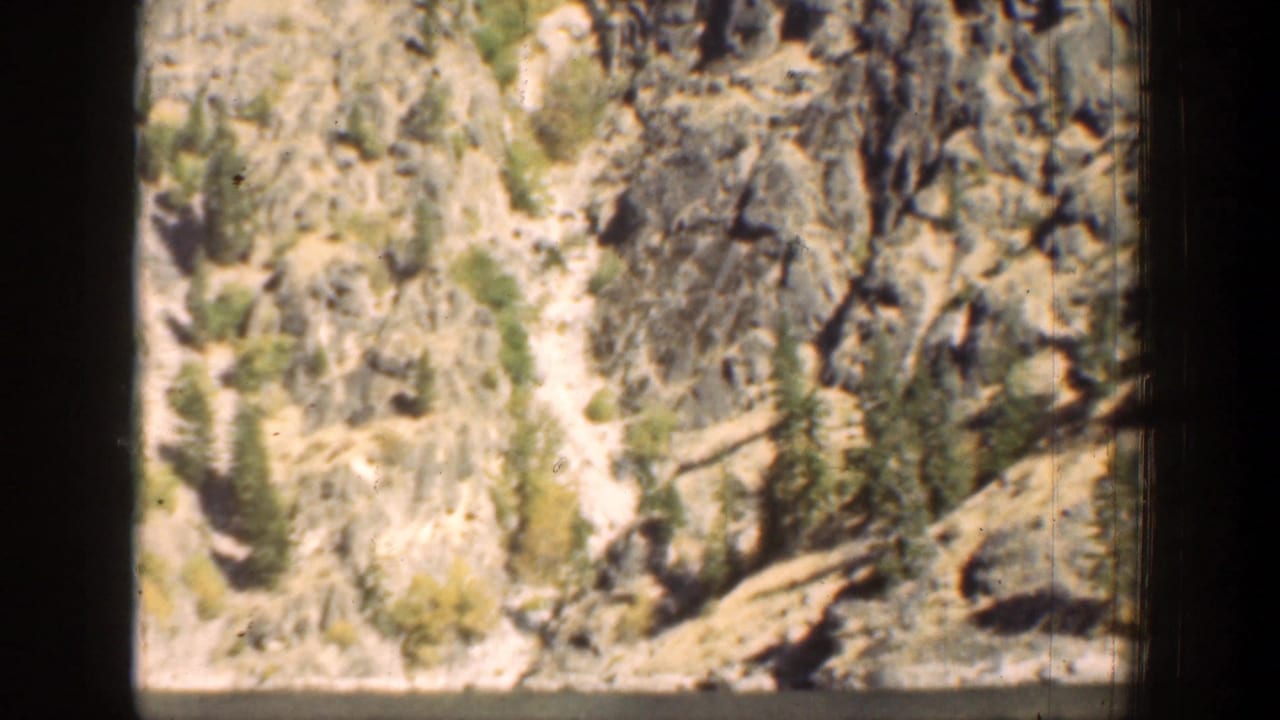 Rocky mountain slope with scattered evergreen trees and a pale trail area.