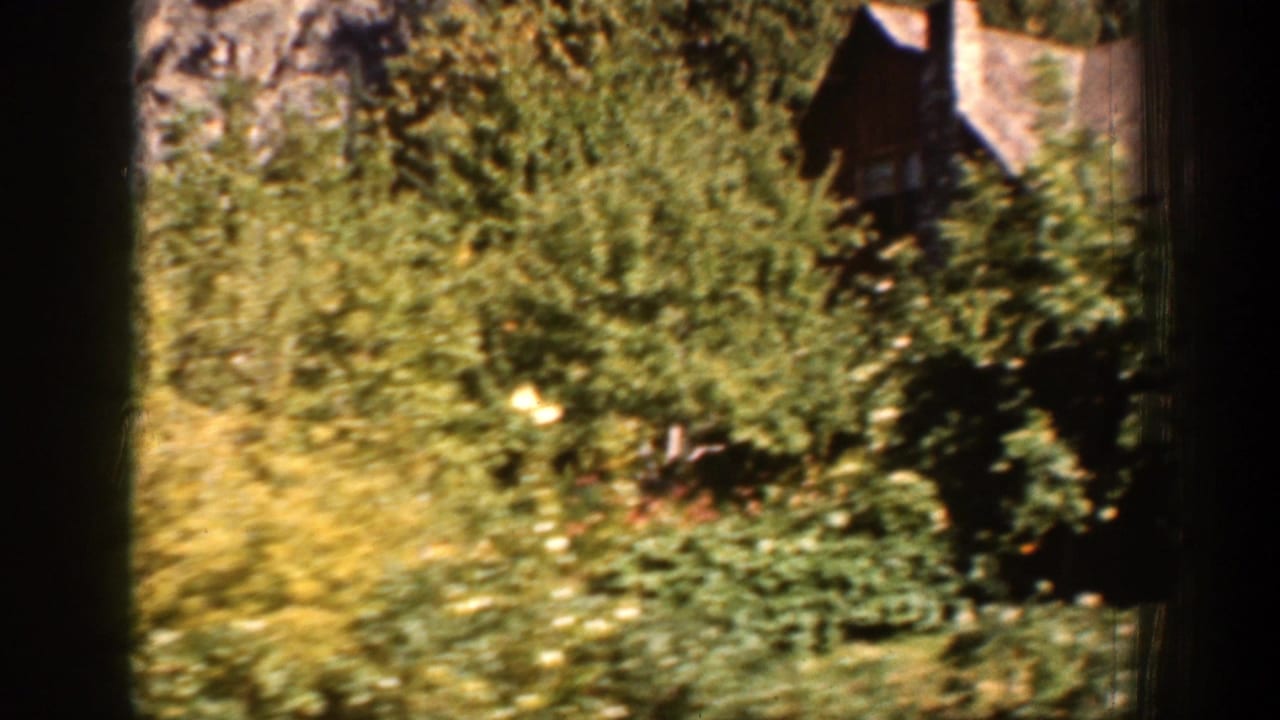 Chelan, Washington 1939 home-movie view of thick vegetation with a cabin partly visible behind the trees.