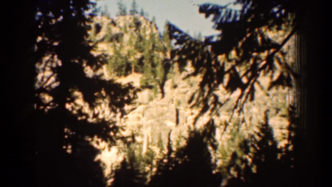 Forest shadows frame a sunlit rocky hillside above trees.