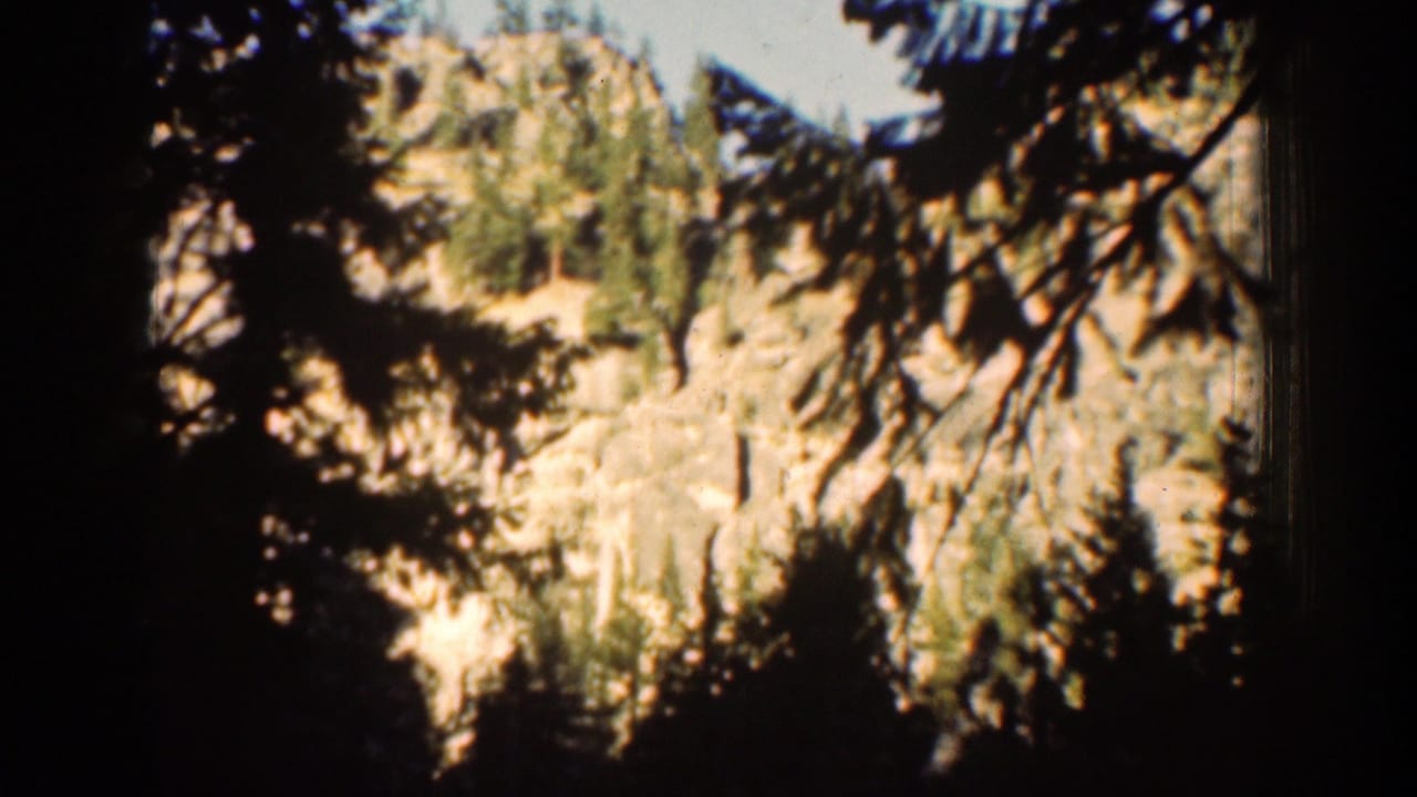 Dark trees frame a bright rocky hillside and forested slope.