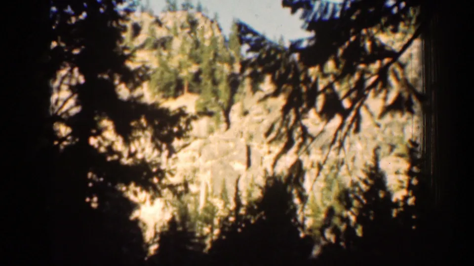 1939 Chelan, Washington 8mm view of a wooded slope and pale rocky terrain seen through dark branches.