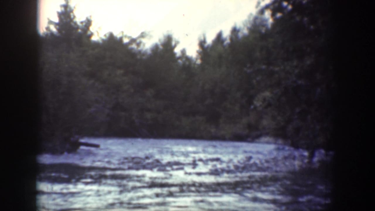 Rushing river bordered by dark forest, seen through an 8mm frame edge.