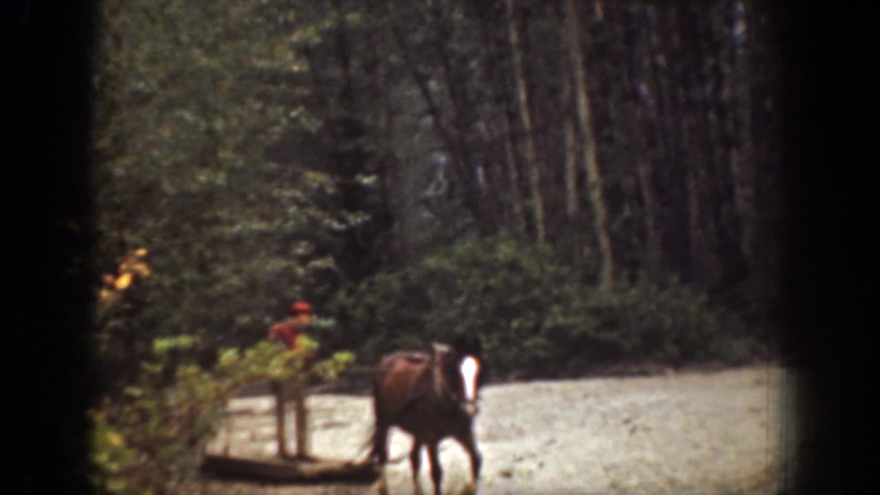 A man appears near a horse and low sledge on a wooded path in the 1939 Chelan, Washington home-movie footage.