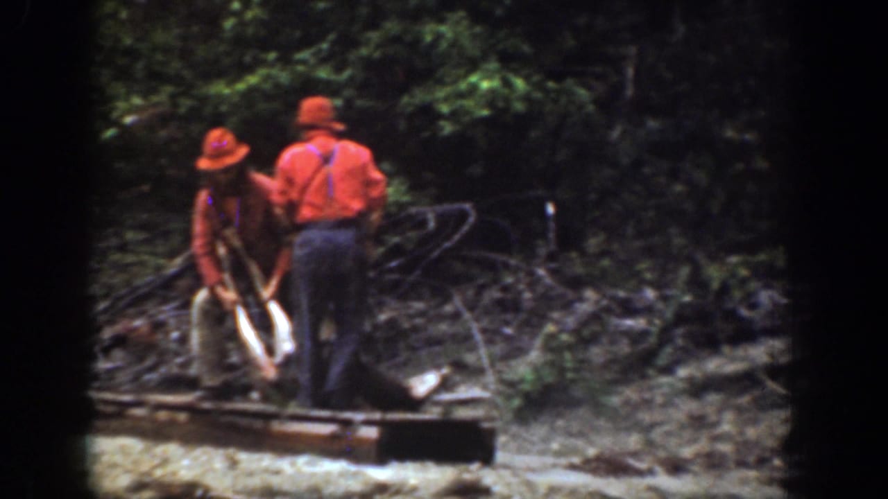The men appear to position the carcass on or near a wooden sled while standing among trees and brush in Chelan, Washington.