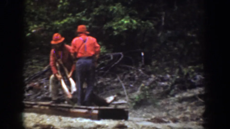 The men appear to position the carcass on or near a wooden sled while standing among trees and brush in Chelan, Washington.