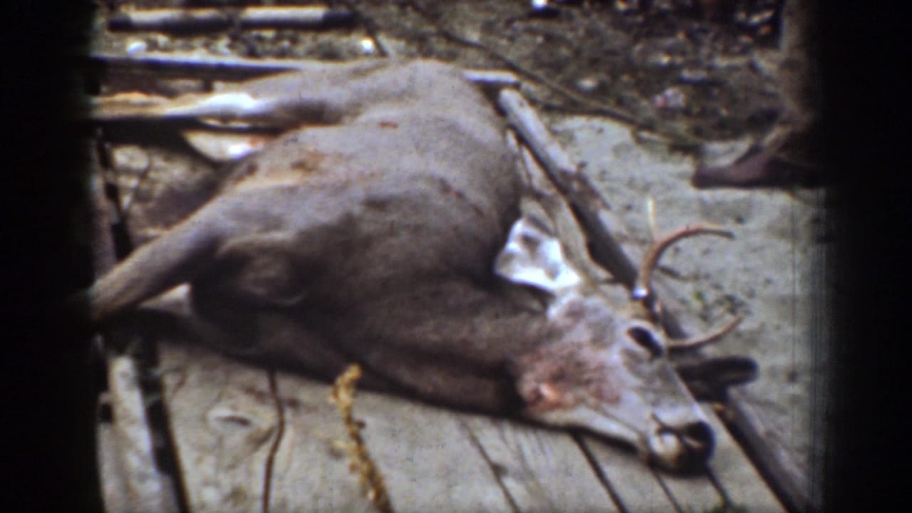 In Chelan, Washington home-movie footage from 1939, a dead deer lies on a rough wooden platform beside branches and ground debris.