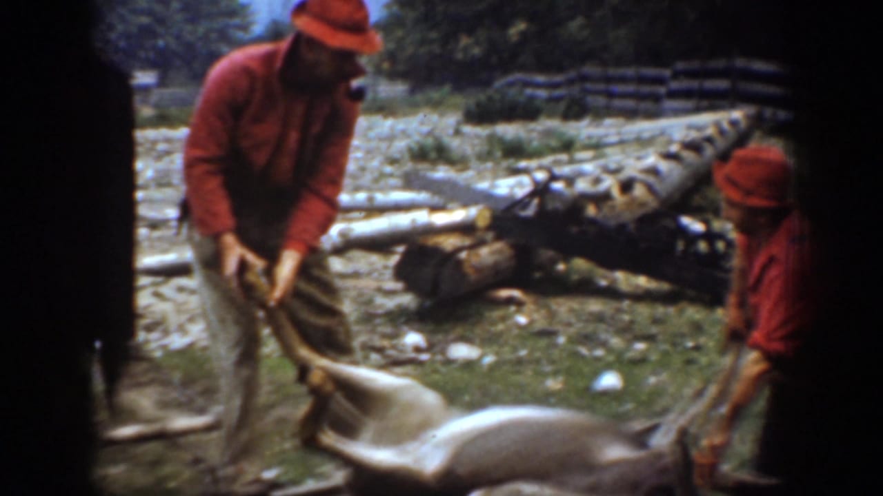 Two hunters in red shirts handle a deer in a wooded clearing, with cut logs, stumps, and scattered debris in the background.