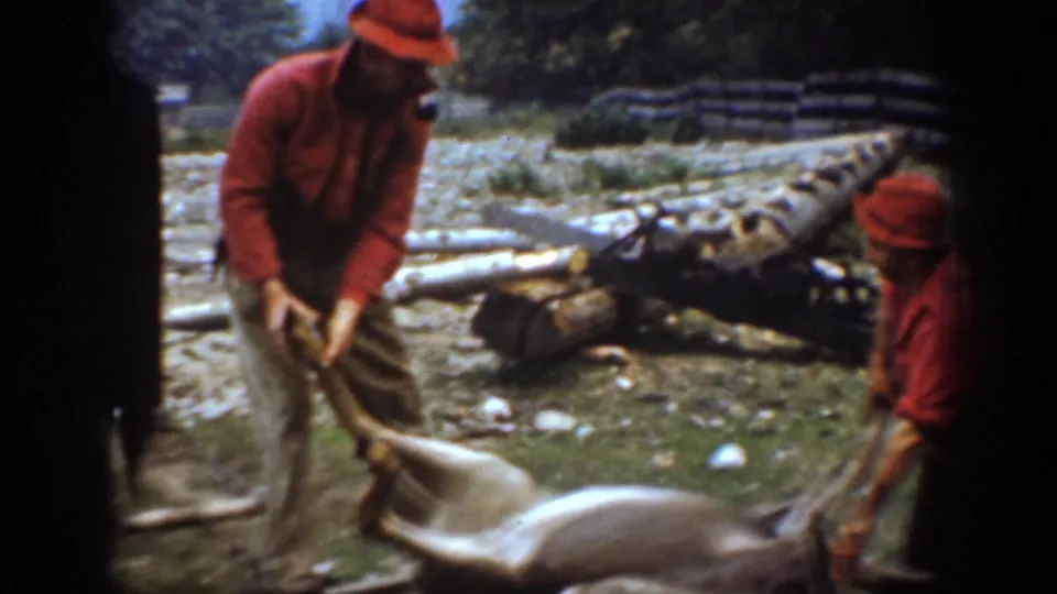 Two hunters in red shirts handle a deer in a wooded clearing, with cut logs, stumps, and scattered debris in the background.