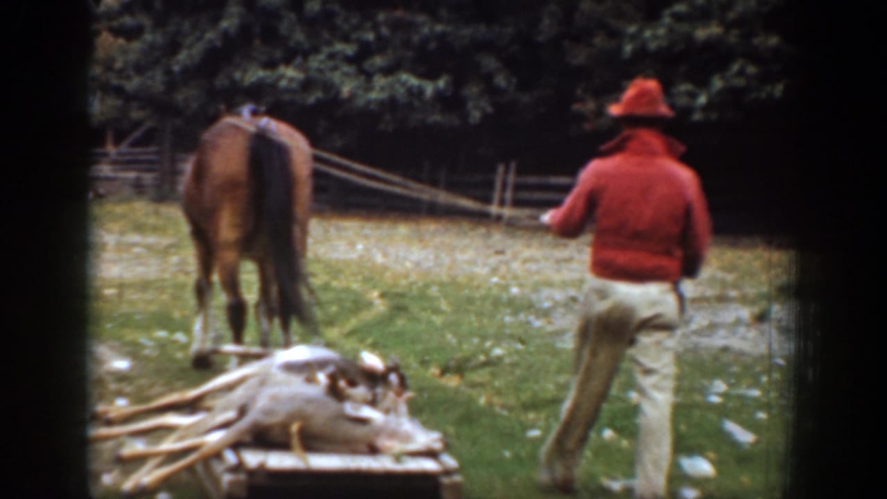 Man in a red shirt walks behind a horse pulling a log-loaded sled in a farmyard.