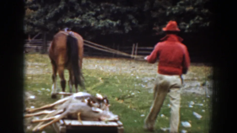 1939 Chelan, Washington home-movie frame showing a man in red following a brown horse and wooden sled loaded with cut wood near fencing.