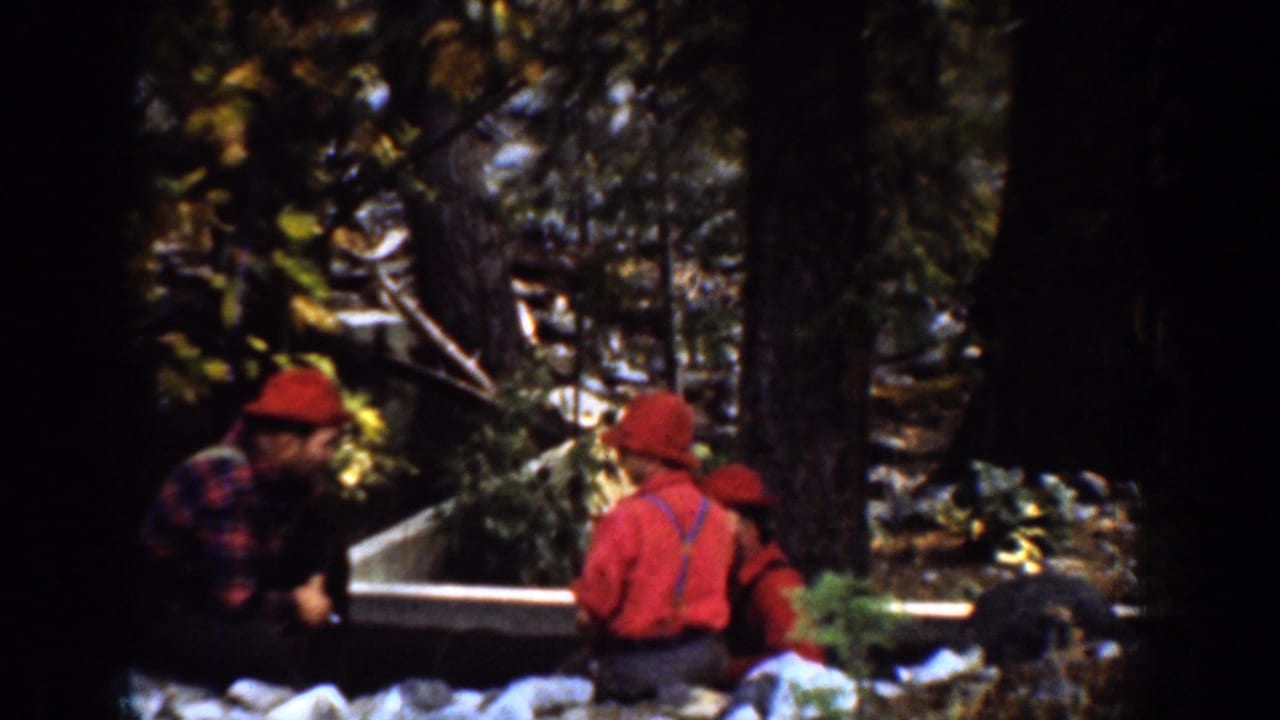 Men in red hats sit and crouch among trees near timber and rocky ground.