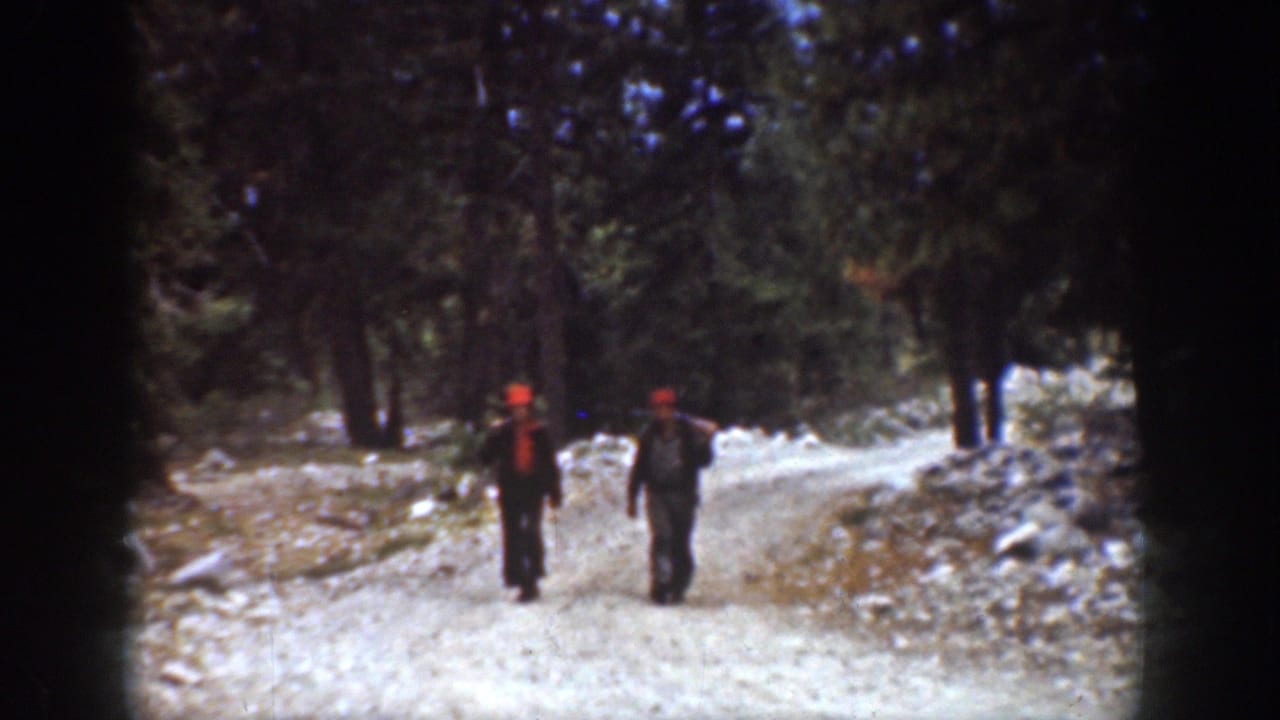 Two workers in hats and suspenders walk along a rough forest road in Chelan, Washington 1939 home-movie footage.