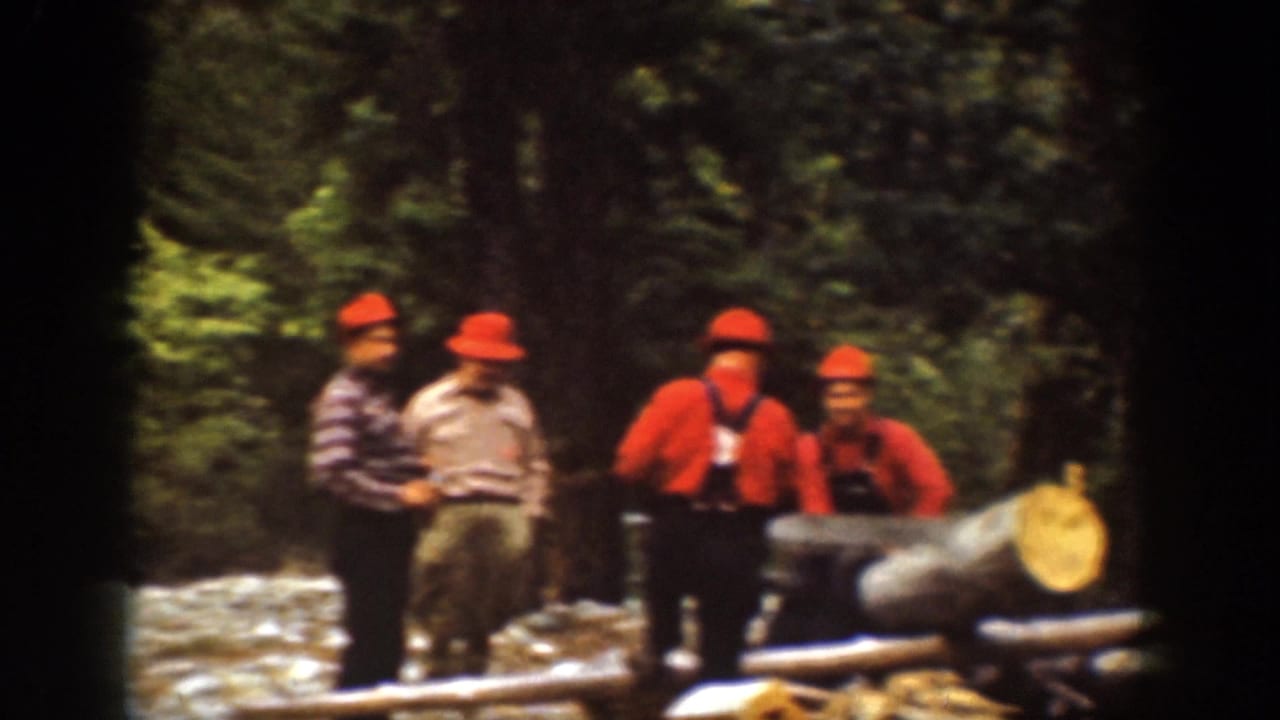 A group of lumberjack men gathers beside a large felled log in Chelan, Washington 1939 footage, with dense trees behind them.