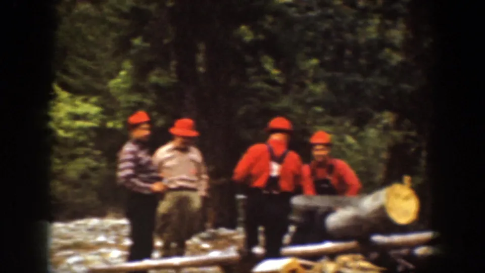 A group of lumberjack men gathers beside a large felled log in Chelan, Washington 1939 footage, with dense trees behind them.