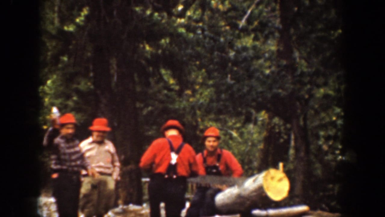 Chelan, Washington 1939 footage shows men in red hats and work clothes gathered near a felled tree in dense woods.