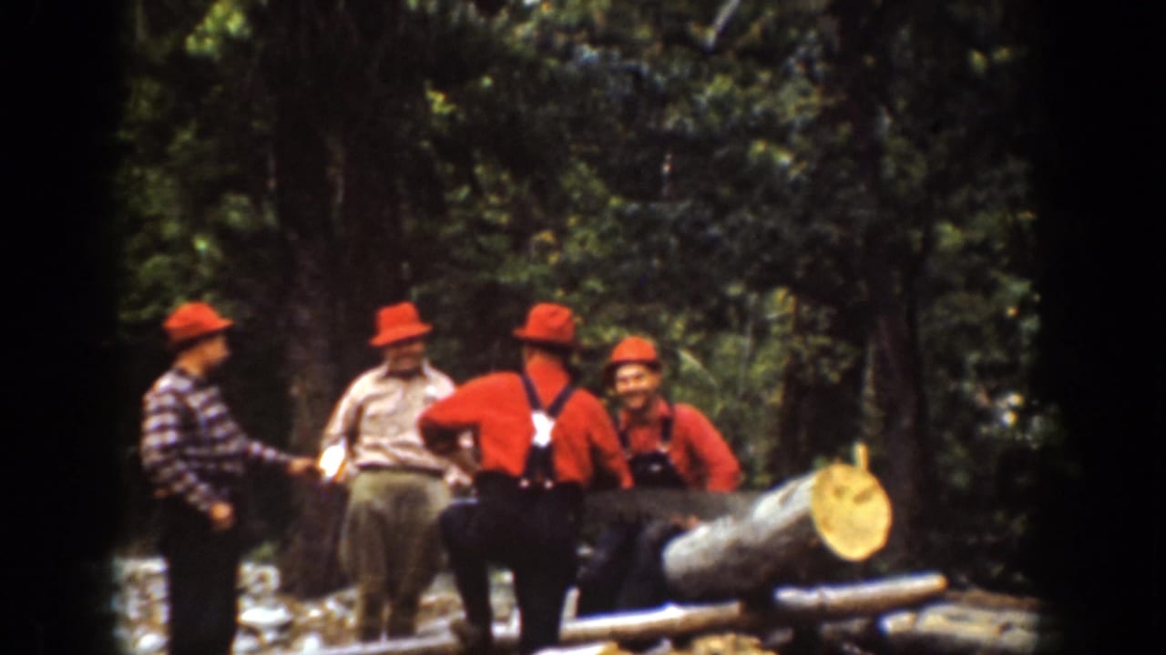 Chelan, Washington 1939 footage shows workers in red hats and suspenders gathered near a large cut log in the woods.