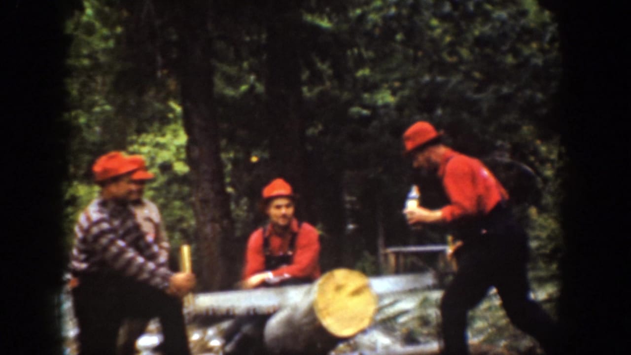 In this 1939 Chelan forest scene, one man holds a bottle while others rest or sit near the end of a felled tree.