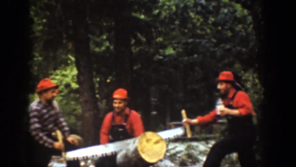 Chelan, Washington 1939 frame showing men in red hats beside a large log, with one man holding a bottle while the saw rests nearby.