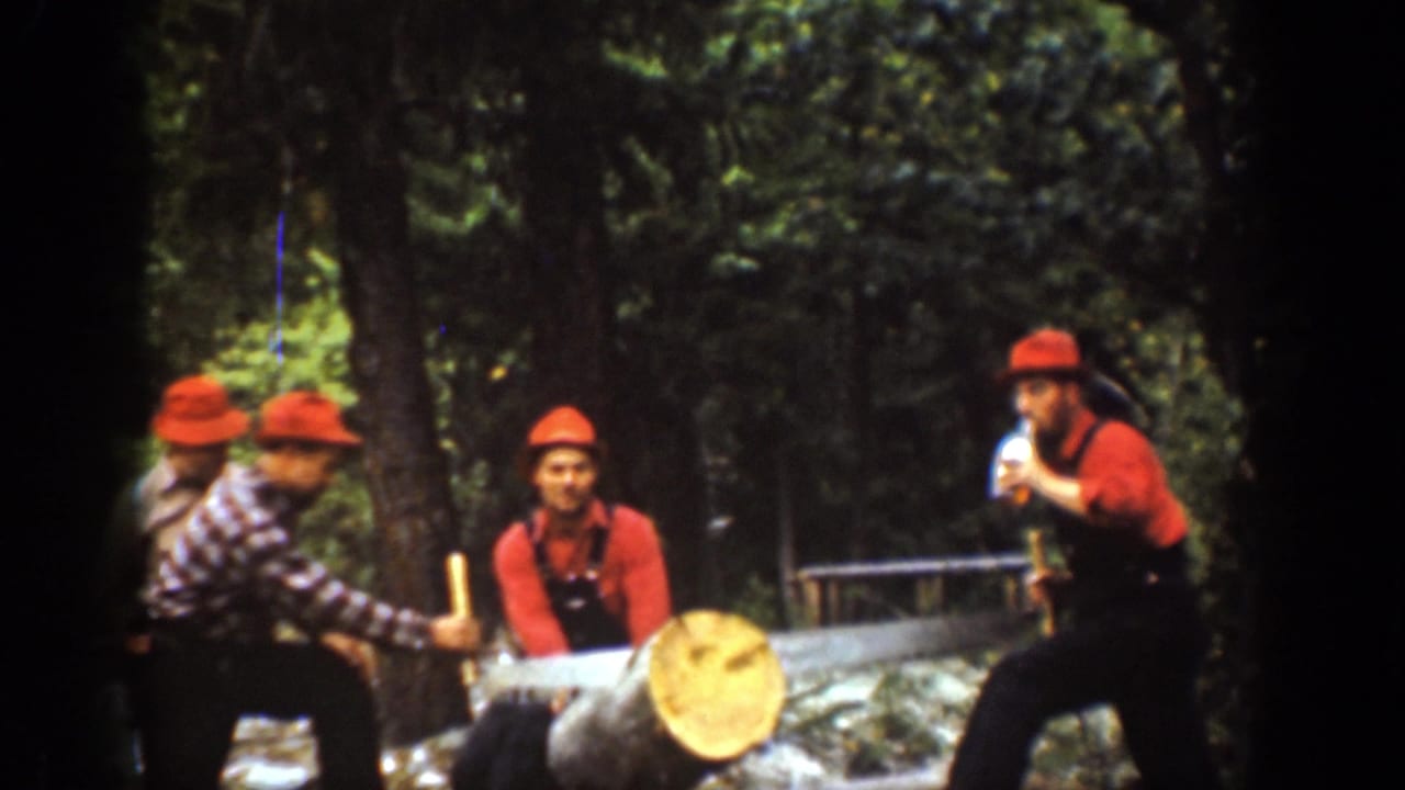 Chelan, Washington 1939 home-movie frame of men in work clothes handling a crosscut saw on a large log in dense woods.