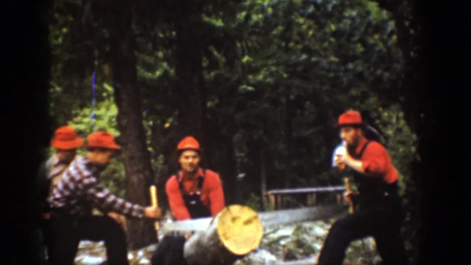 Chelan, Washington 1939 home-movie frame of men in work clothes handling a crosscut saw on a large log in dense woods.