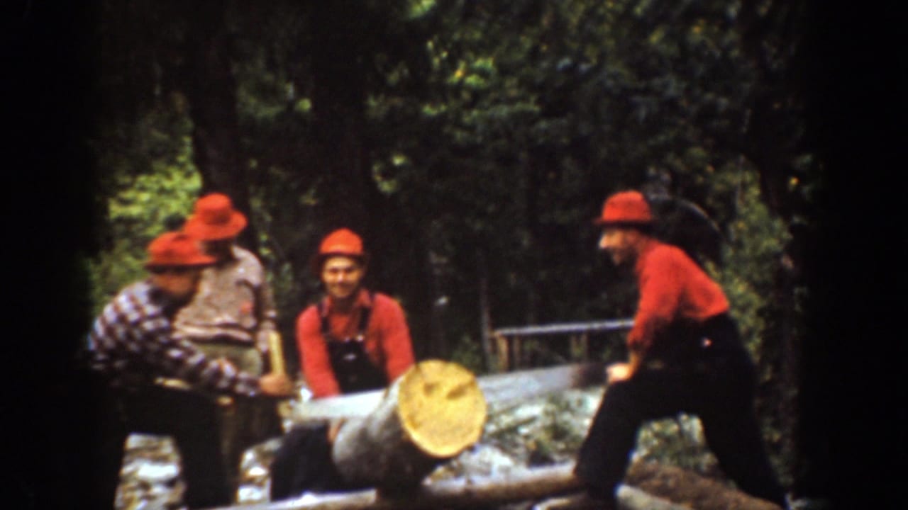 Four adult men in red hats gather around a large log and crosscut saw in the wooded Chelan, Washington scene identified by the metadata.
