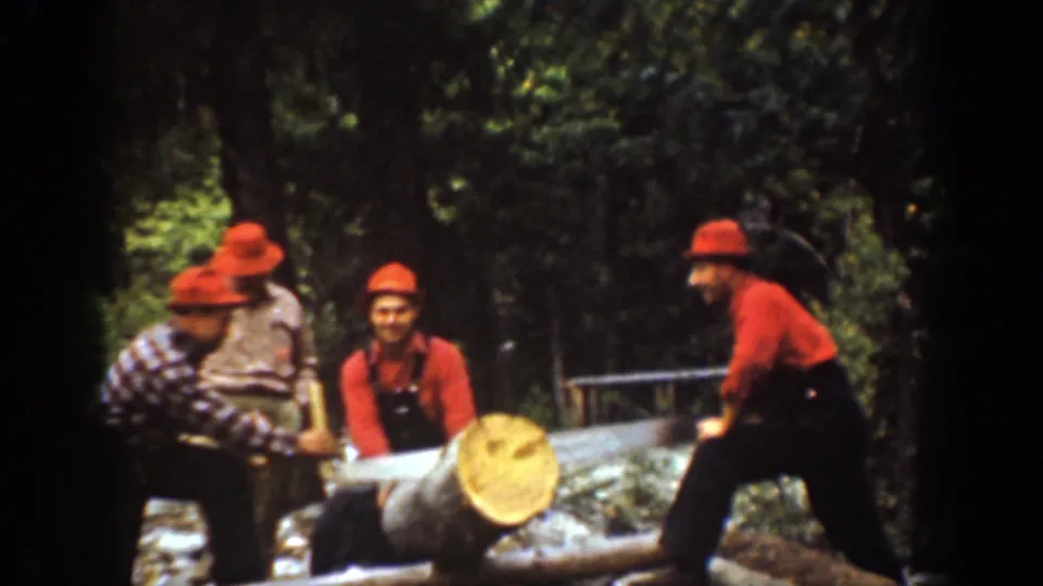 Four adult men in red hats gather around a large log and crosscut saw in the wooded Chelan, Washington scene identified by the metadata.