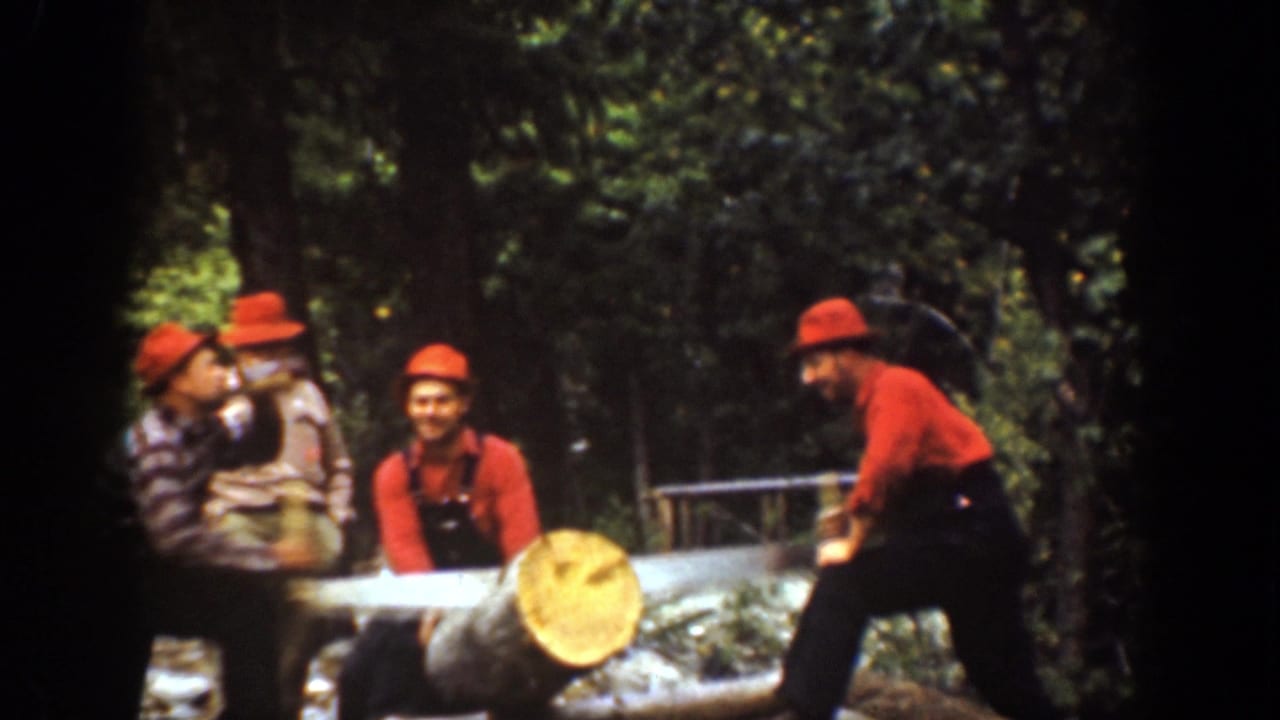Men in red hats stand around a log in a forest while one man works near the saw.