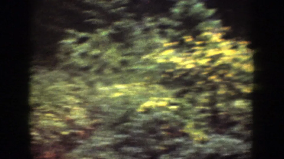 Soft 8mm frame from Chelan, Washington showing dense green bushes and trees beside the trail area.