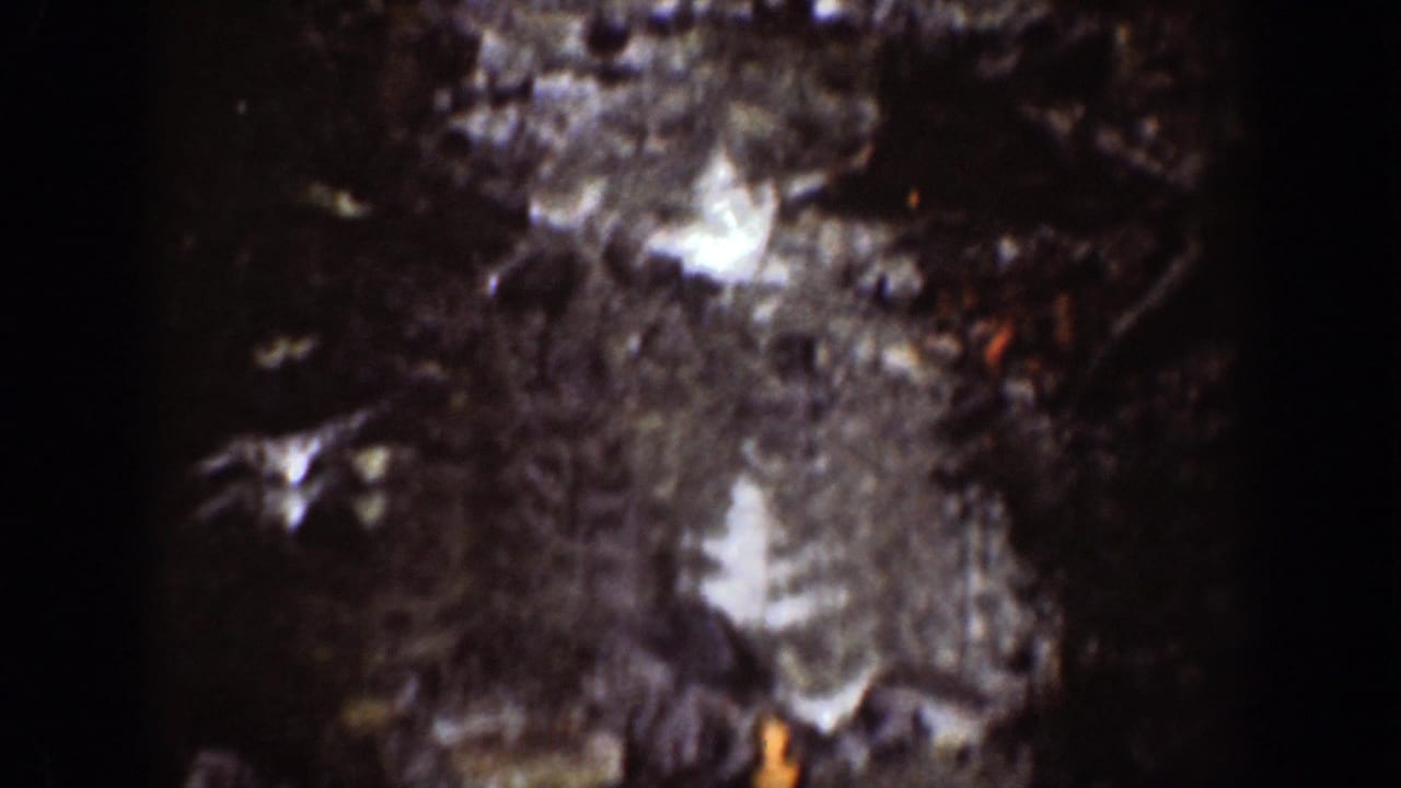 Chelan, Washington 1939 home-movie frame showing a close, soft-focus view of a rocky forest path with sunlit or wet highlights.