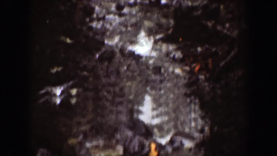 Chelan, Washington 1939 home-movie frame showing a close, soft-focus view of a rocky forest path with sunlit or wet highlights.