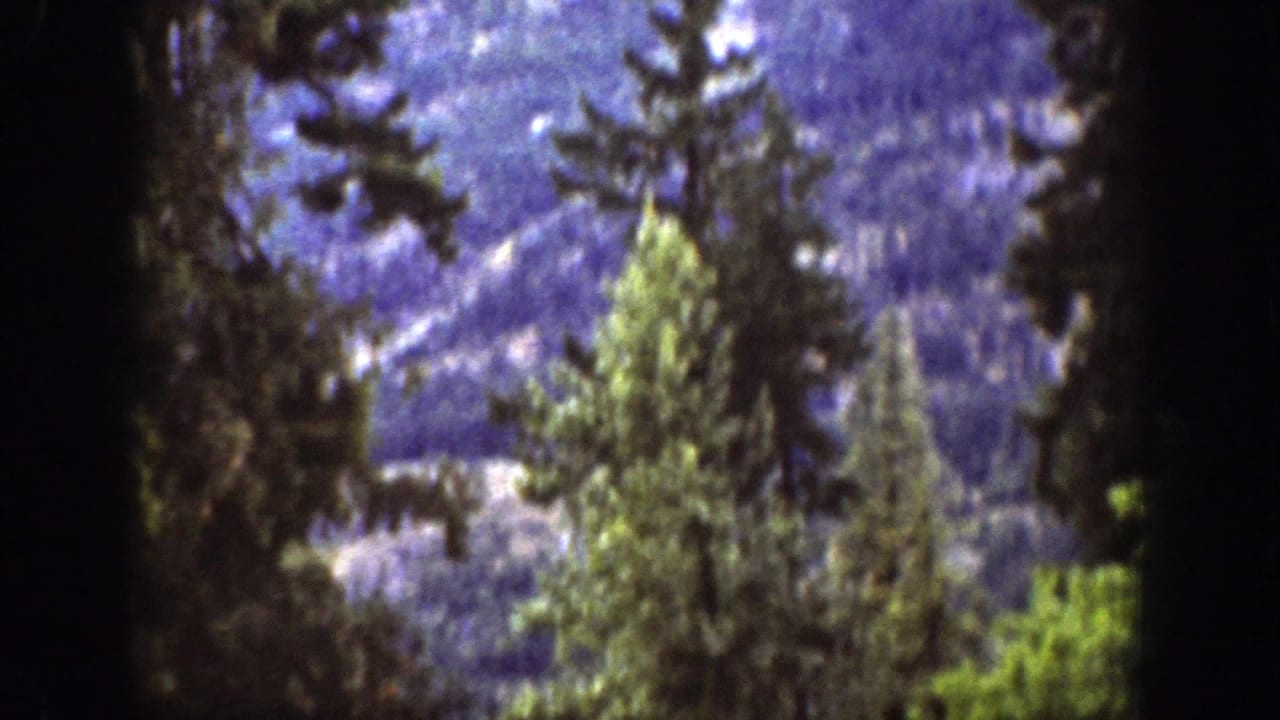 Chelan, Washington 1939 home-movie view of evergreen trees rising against a distant mountain slope in soft blue light.