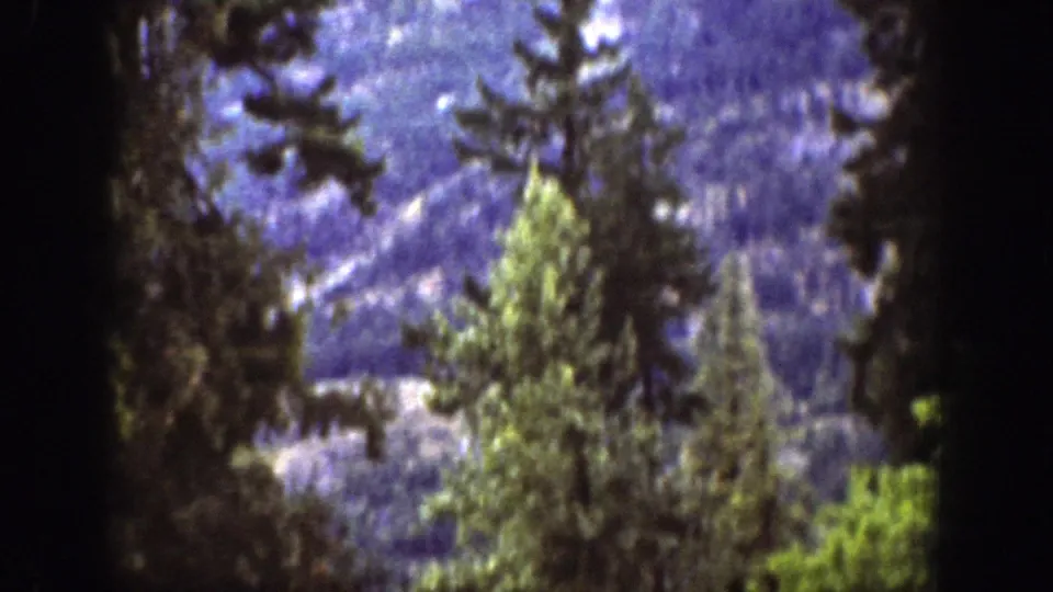 Chelan, Washington 1939 home-movie view of evergreen trees rising against a distant mountain slope in soft blue light.
