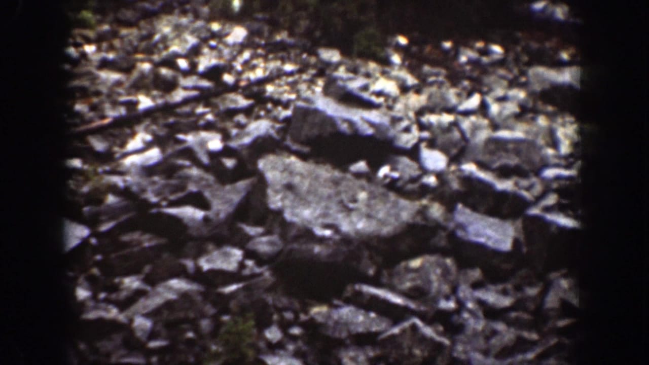 Close 1939 home-movie view of rocky ground in a Chelan forest setting, with stones, small plants, and uneven earth.