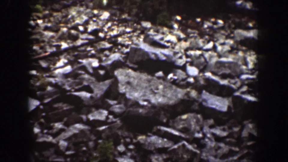 Close 1939 home-movie view of rocky ground in a Chelan forest setting, with stones, small plants, and uneven earth.