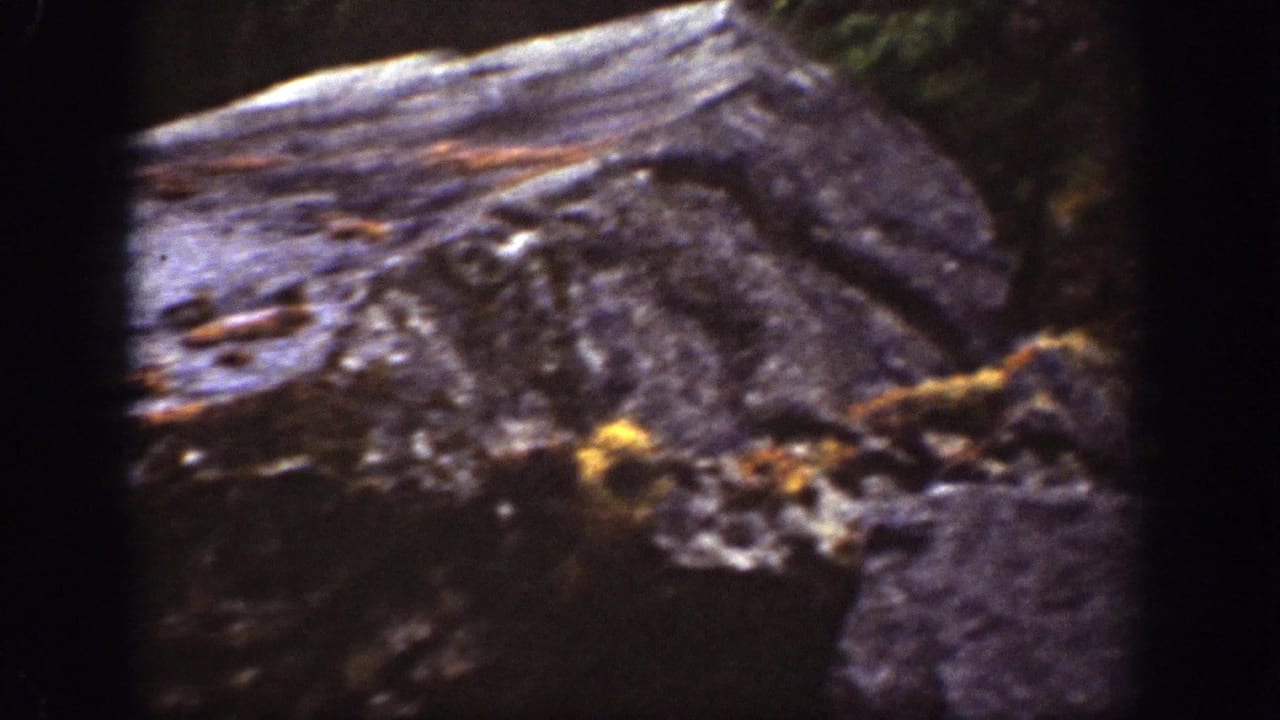 Chelan forest-floor detail from 1939 8mm footage, showing a weathered fallen log, mossy rocks, and shaded ground.