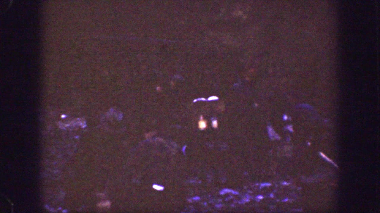 A dark, grainy 8mm frame shows indistinct human shapes or figures, with little detail visible beyond low-light movement.