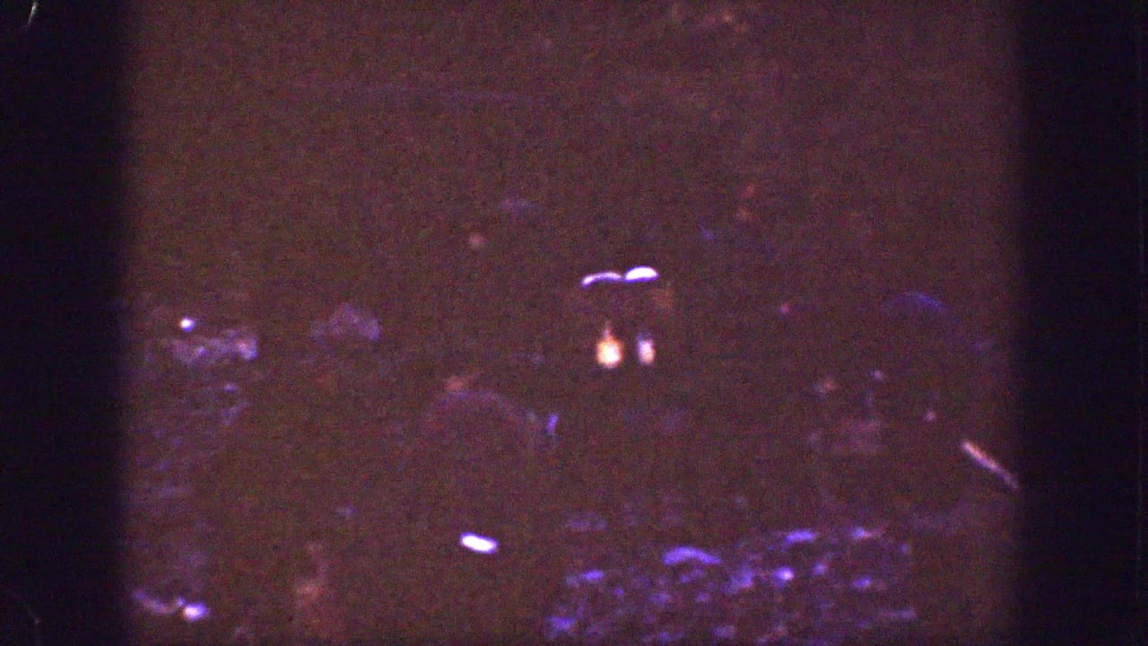 Dark campsite with faint campfire glow and silhouetted figures in heavy grain.
