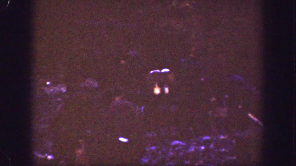 1939 Chelan, Washington home-movie frame showing a very dark campsite with firelight, trees, and indistinct people in silhouette.