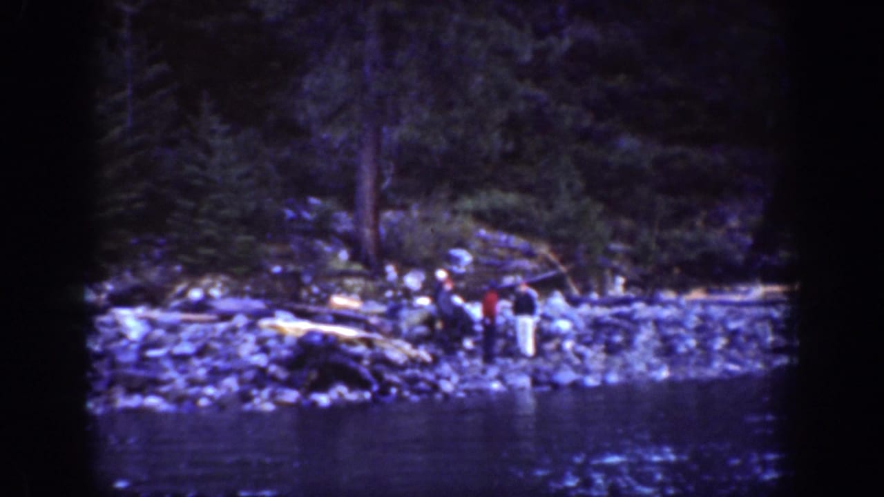 Adults stand on a rocky bank near logs and water.