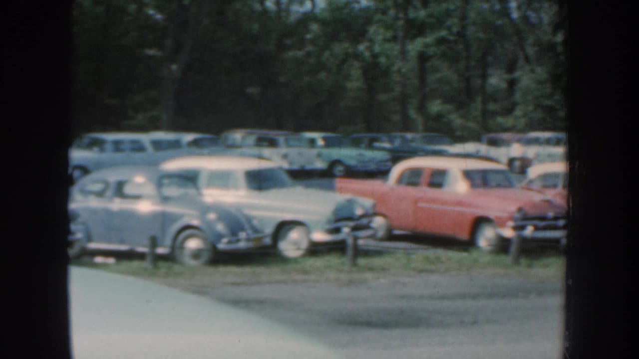 Rows of vintage sedans and wagons parked beside trees.