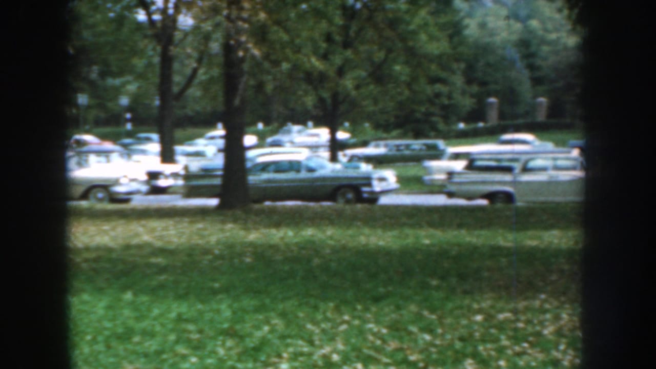 Parked 1950s cars seen across grass through dark tree trunks.