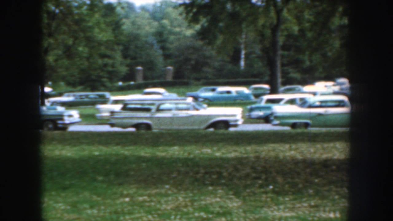 Vintage cars parked along a road behind grass and trees.