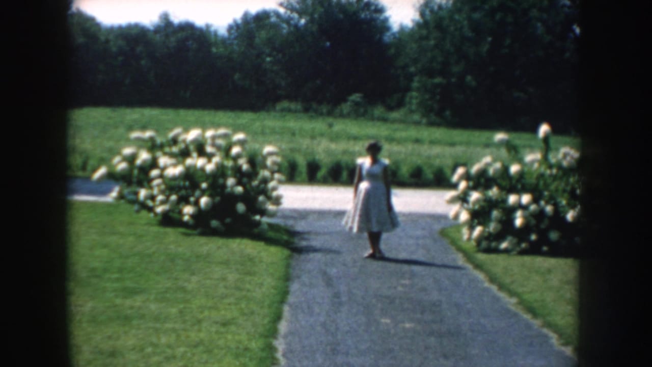 Woman in a pale dress walking on a driveway between green lawns and white flowering shrubs.