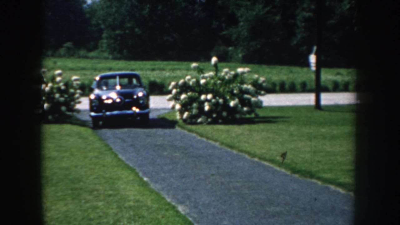 Black vintage car entering a driveway with headlights on near flowering shrubs and lawn.