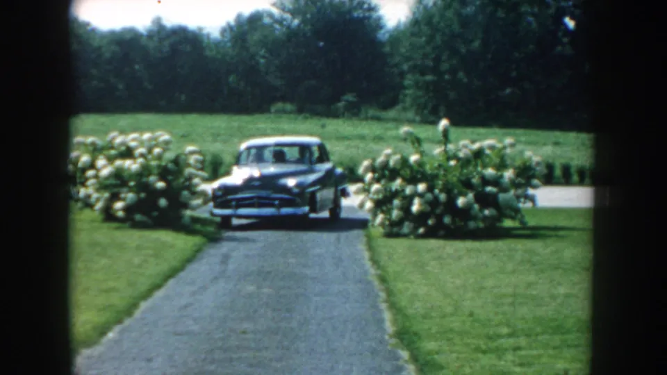 A dark 1950s sedan approaches along a driveway between green lawns and white hydrangea-like shrubs.